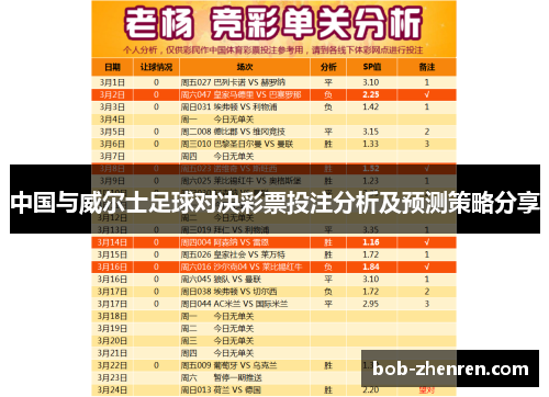 中国与威尔士足球对决彩票投注分析及预测策略分享