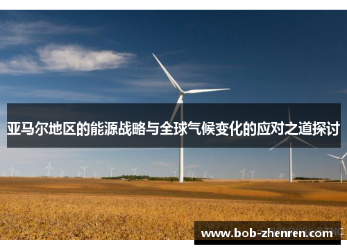 亚马尔地区的能源战略与全球气候变化的应对之道探讨